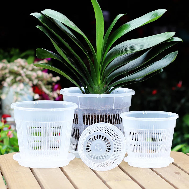 Clear Breathable Orchid Pot