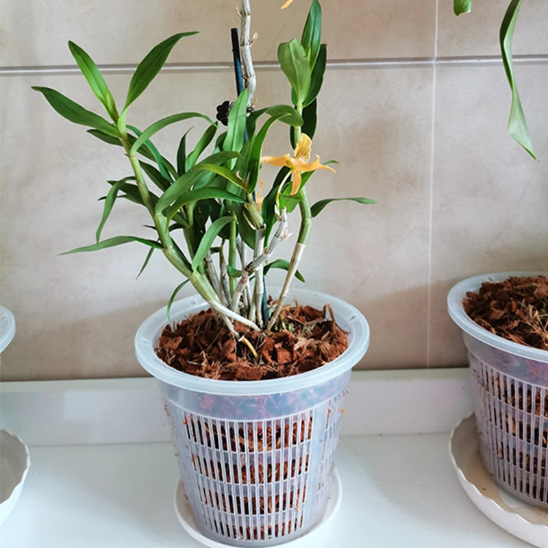 Clear Breathable Orchid Pot